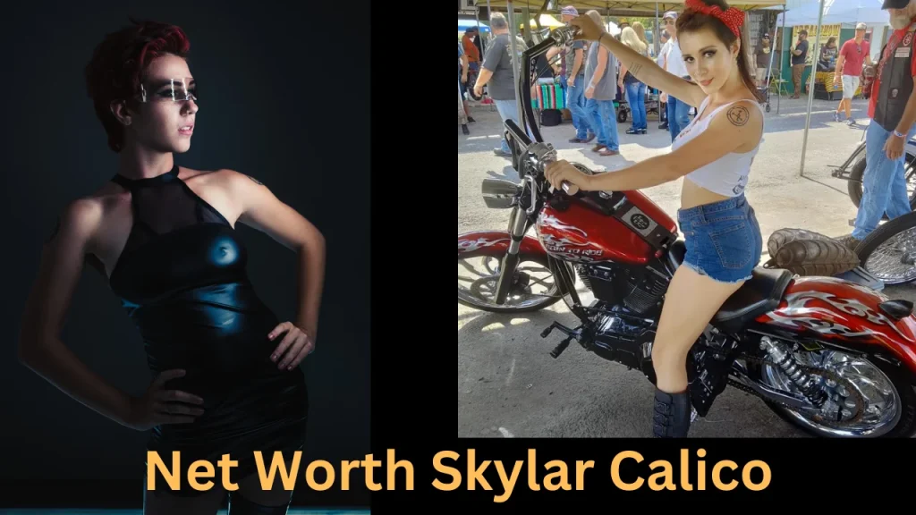 Net Worth Skylar Calico