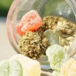 Top Benefits of Enjoying Cannabis Gummies Responsibly