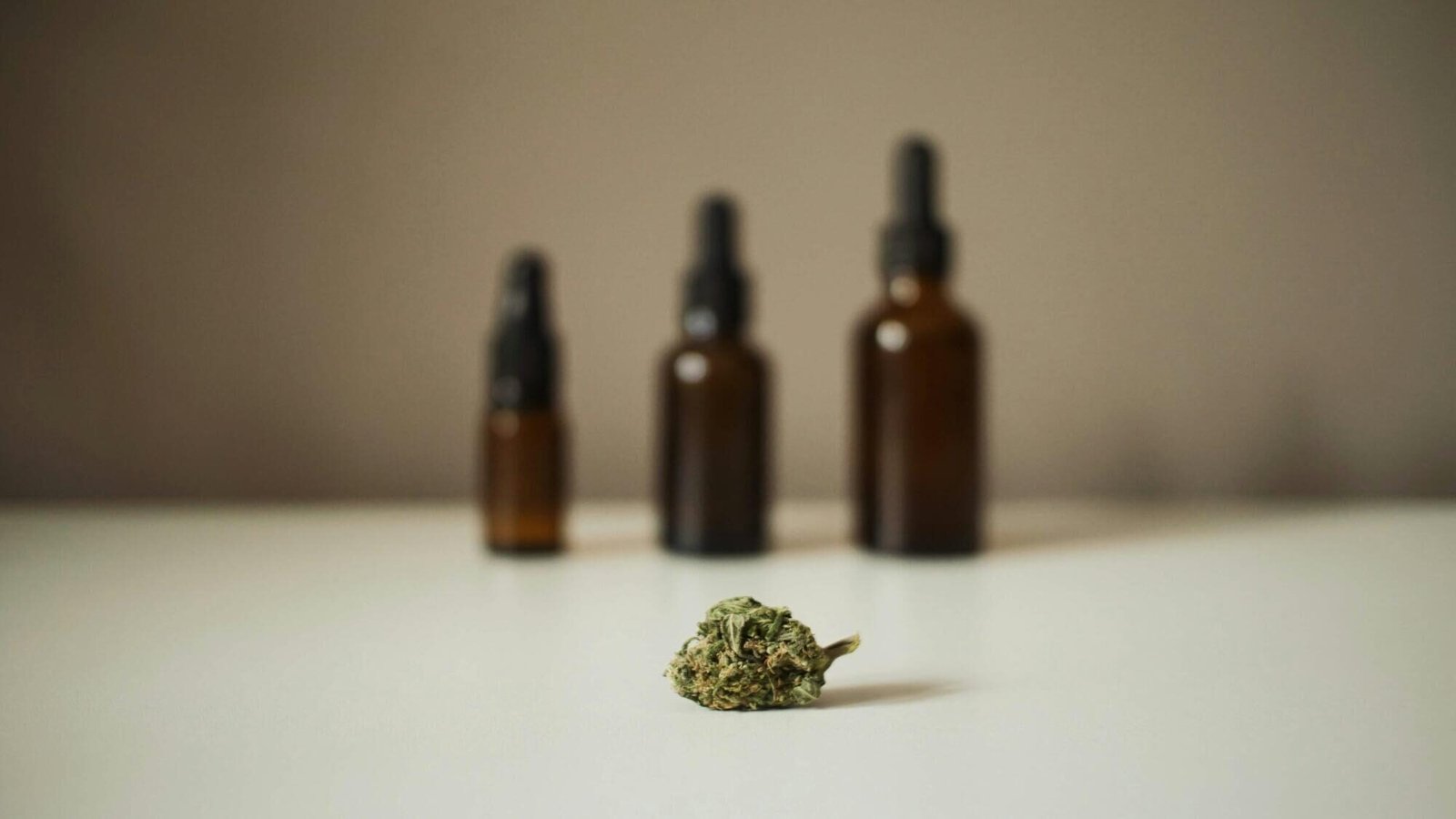 Understanding Cannabis-Influenced Wellness Trends