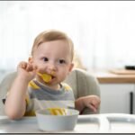 Easy and Nutritious Recipes for Babies 7 Months and Older