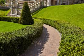 Transform Your Outdoor Space with Expert Landscaping in Sydney