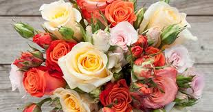 How to Choose Roses for Different Occasions in LA